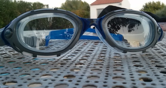 Gafas de Natación Zoggs Predator Gris