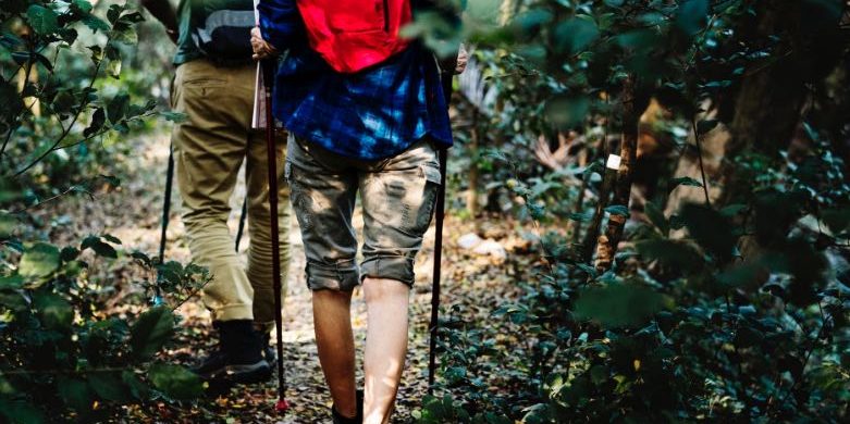 bastones de trail