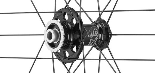 buje con radios campagnolo Shamal