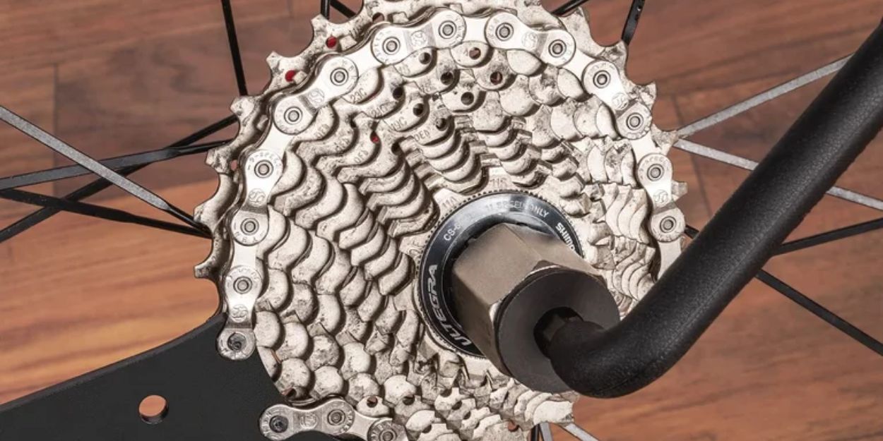 extractores de piñones portada