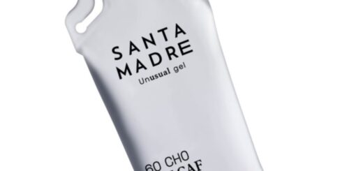 gel santa madre portada