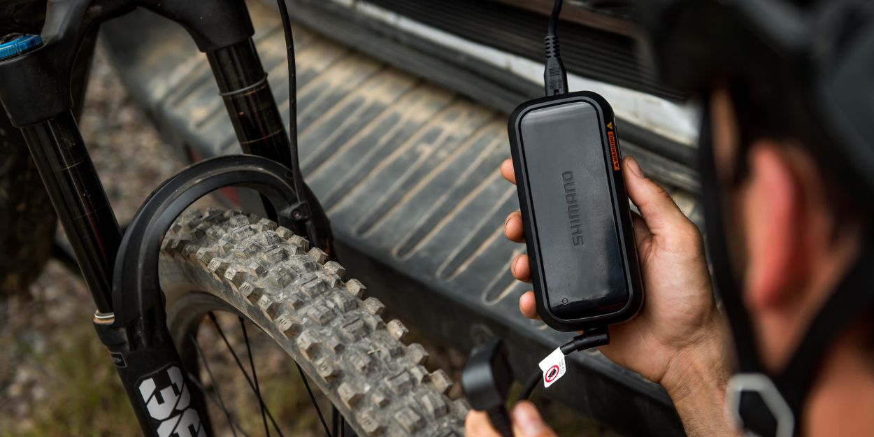 tips cuidados bateria e-bike